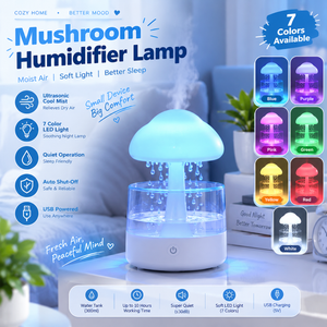 Rain Cloud Aromatherapy Humidifier & Ambient Night Light